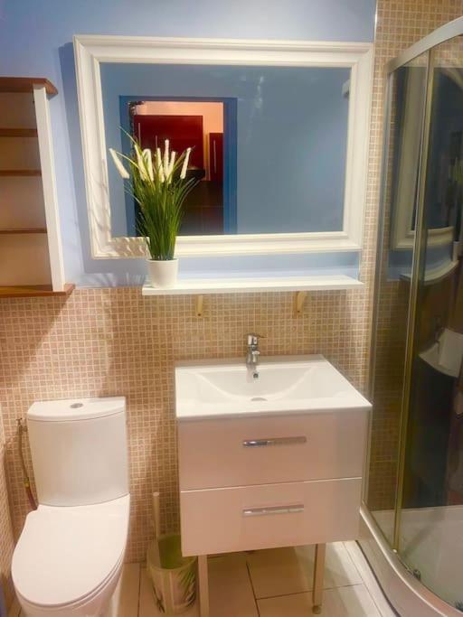 Appartement Neuf Cosy Centre Ville Quartier Haut 塞特港 外观 照片
