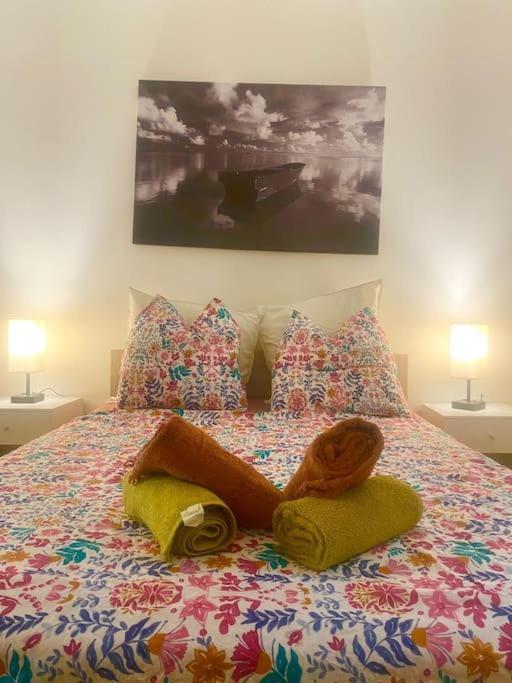 Appartement Neuf Cosy Centre Ville Quartier Haut 塞特港 外观 照片