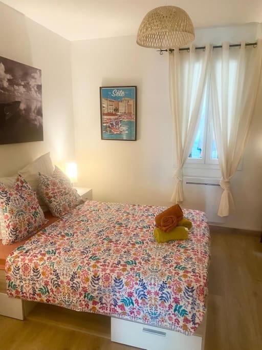 Appartement Neuf Cosy Centre Ville Quartier Haut 塞特港 外观 照片